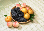 桃子和梨子能一起吃嗎？桃子和梨子一起吃好嗎？