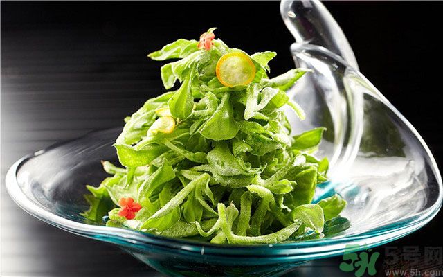 什么是冰草？冰草有什么作用？