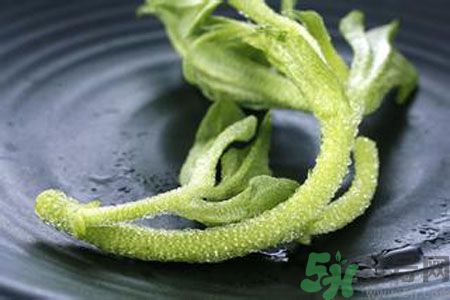 冰草好吃嗎？冰草怎么做好吃？