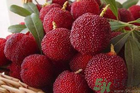 楊梅是不是發(fā)物？楊梅是發(fā)物嗎？