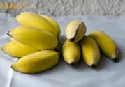 牛奶蕉可以減肥嗎？牛奶蕉怎么吃減肥？