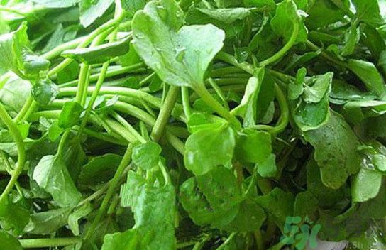 水腫能吃茄子嗎？茄子能消水腫嗎？