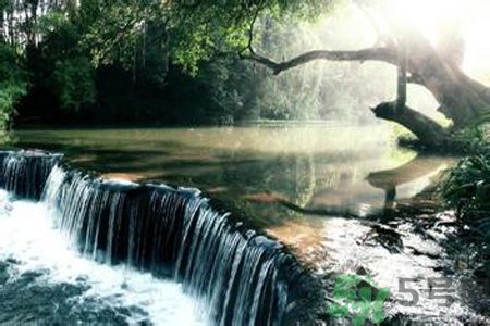 為什么夏至有雨三伏熱？夏至有雨三伏熱是什么意思？