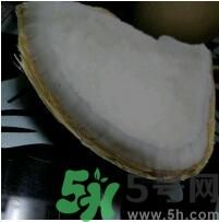 椰子可以放冰箱嗎？椰子放冰箱容易壞嗎？