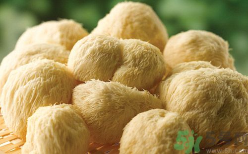 吃猴頭菇有什么好處？猴頭菇有什么營養(yǎng)價值？