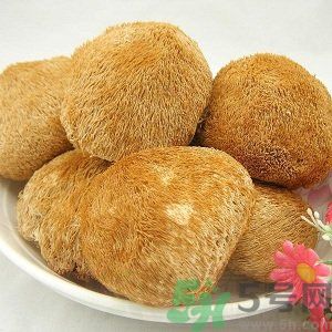 吃猴頭菇有什么好處？猴頭菇有什么營養(yǎng)價值？