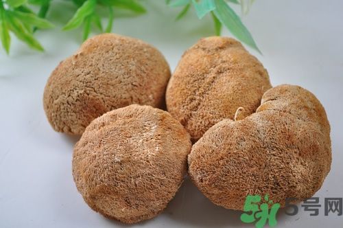猴頭菇粉怎么做？猴頭菇餅干怎么做？