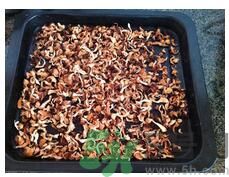 猴頭菇粉怎么做？猴頭菇餅干怎么做？