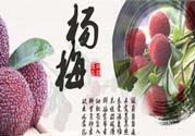 喉嚨痛可以吃楊梅嗎？喉嚨痛吃楊梅好嗎？