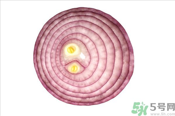 吃洋蔥上火嗎？吃洋蔥會上火嗎？