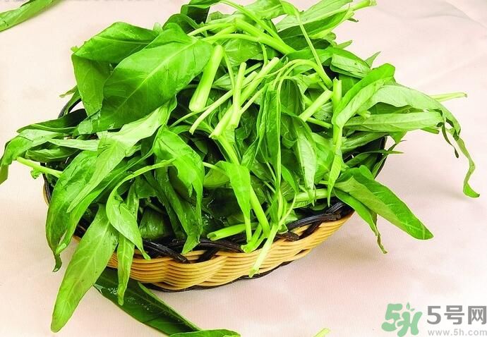 空心菜有什么功效？空心菜的功效是什么？