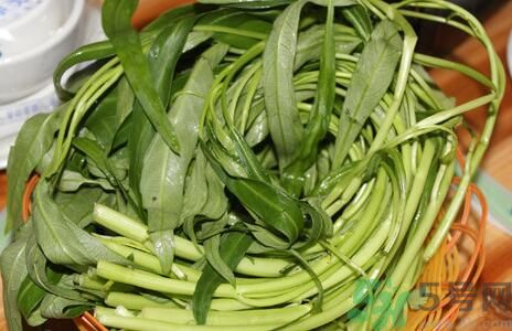 空心菜吃葉子還是吃桿？空心菜吃葉子好嗎？