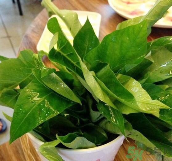空心菜泡水了還能吃嗎？泡水的空心菜可以吃嗎？