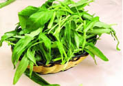 吃空心菜有什么好處？多吃空心菜對身體好嗎？