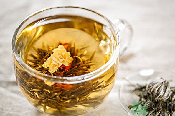 茉莉花綠茶加苦瓜能減肥嗎？茉莉花和苦瓜泡水喝嗎？