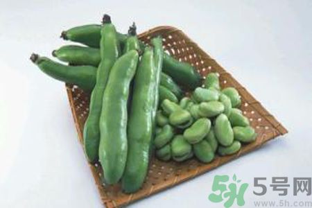 蠶豆是熱性還是涼性？蠶豆是熱性的嗎？