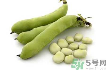 寶寶可以吃蠶豆嗎？寶寶多大可以吃蠶豆？