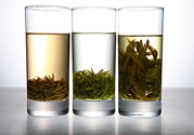 茯苓和苦丁茶能一起泡嗎？茯苓可以和苦丁茶一起喝嗎？