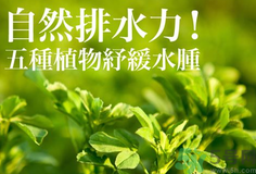 南瓜去水腫嗎？南瓜能消腫嗎？