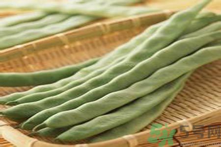 四季豆是發(fā)物嗎？四季豆是不是發(fā)物？