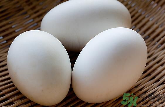 鵝蛋可以清火嗎？鵝蛋可以降火嗎？