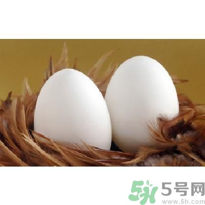 鵝蛋可以清火嗎？鵝蛋可以降火嗎？