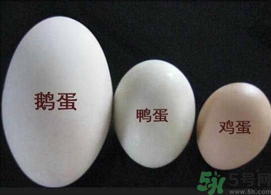 鵝蛋和鴨蛋哪個好？鵝蛋和鴨蛋哪個清火效果好？