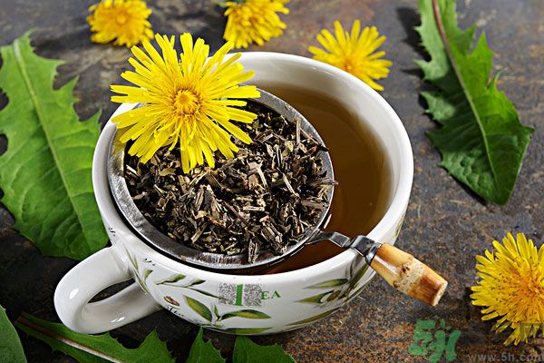 蒲公英泡茶有什么功效？蒲公英泡茶的功效是什么？