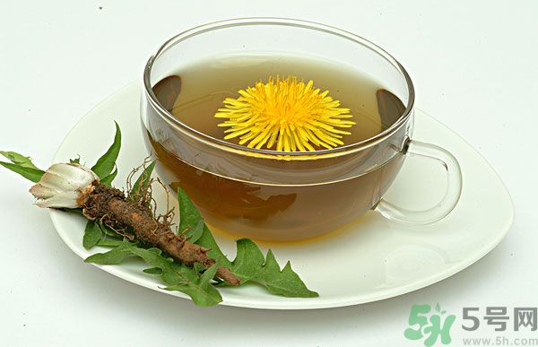 蒲公英根泡茶好還是蒲公英葉泡茶好？蒲公英根和葉哪個(gè)效果好？