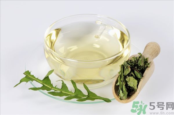 蒲公英根泡茶好還是蒲公英葉泡茶好？蒲公英根和葉哪個效果好？