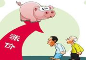豬肉價格為什么驚動世界？豬肉價格一直上漲的原因是什么？