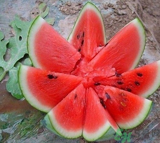 吃西瓜拉肚子怎么辦？吃西瓜會拉肚子嗎？