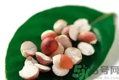 夏天吃芡實(shí)好嗎？夏天吃芡實(shí)有什么好處？