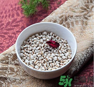 夏天吃薏米好嗎？夏天吃薏米有什么好處？