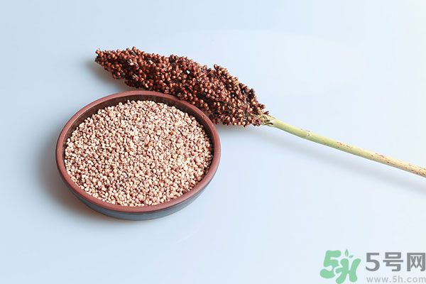 夏天吃高粱好嗎？夏天吃高粱有什么好處？