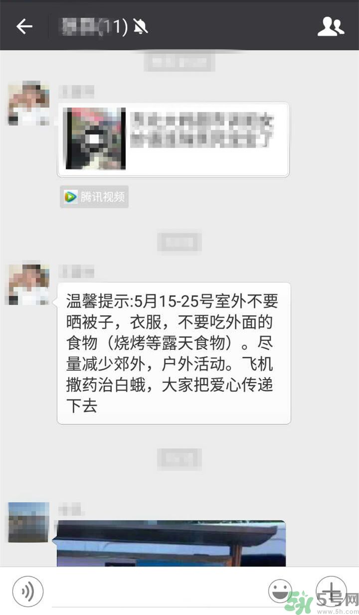 為什么15-25號不要曬被子？什么是美國白蛾？