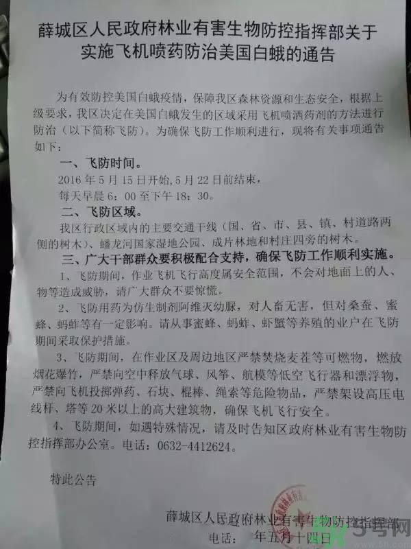 為什么15-25號不要曬被子？什么是美國白蛾？