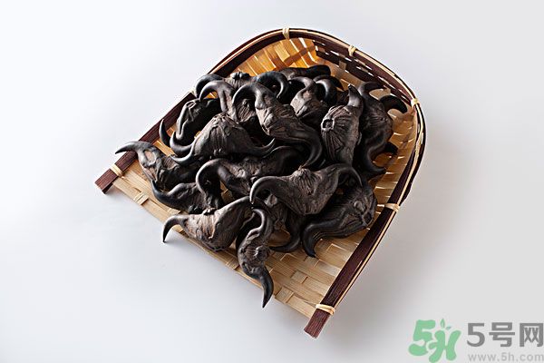 孕婦可以吃菱角嗎？孕婦吃菱角好嗎？