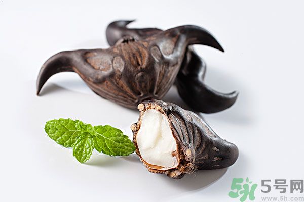 寶寶可以吃菱角嗎？寶寶多大可以吃菱角？
