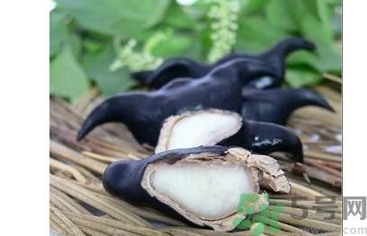 菱角怎么剝完整？菱角剝不開怎么辦？