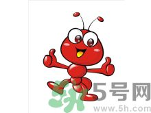 家里有螞蟻怎么辦？驅(qū)除螞蟻的方法是什么？
