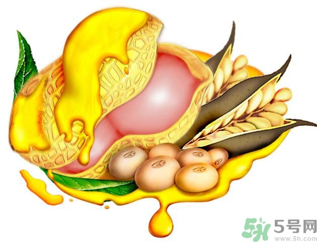 夏天吃哪種油好？什么油適合夏天吃？