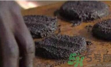蚊子可以吃嗎？吃蚊子會怎么樣？