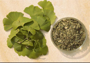 夏天可以喝銀杏葉茶嗎？夏天喝銀杏葉茶好嗎？