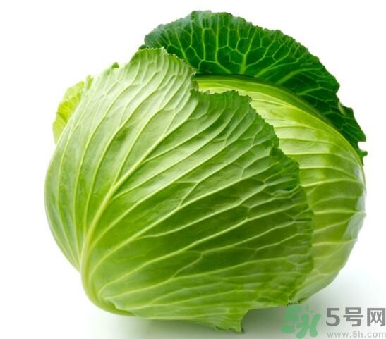 包菜是涼性的嗎？包菜是涼性還是熱性的？