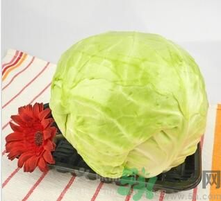 包菜可以生吃嗎？包菜可以涼拌嗎？
