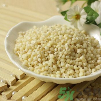 高粱米是涼性嗎？高粱米是涼性還是熱性？