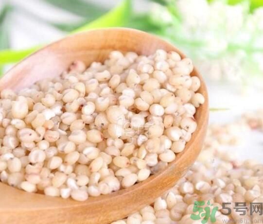 高粱米是發(fā)物嗎？高粱米是不是發(fā)物？