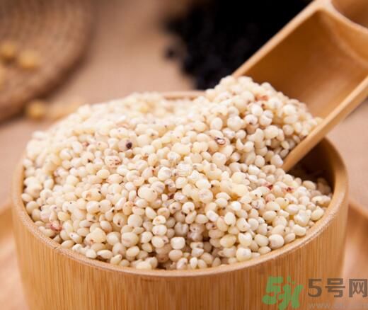 高粱米是發(fā)物嗎？高粱米是不是發(fā)物？