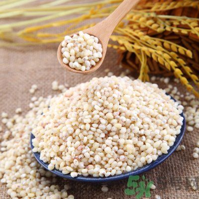 高粱米能做飯嗎？高粱米做飯好嗎？